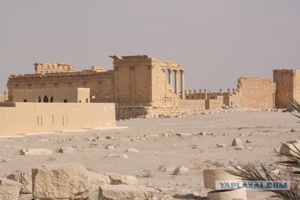 До и после ИГИЛ