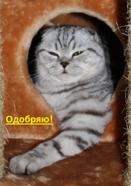 Фотосессия с сексуальной рыжей Isabelle Engel (Фотограф Michael Taborsky)