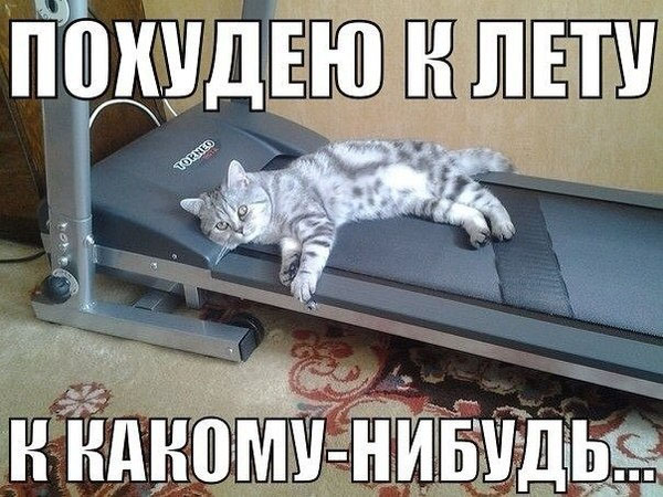 Абсурдный юмор ч.22