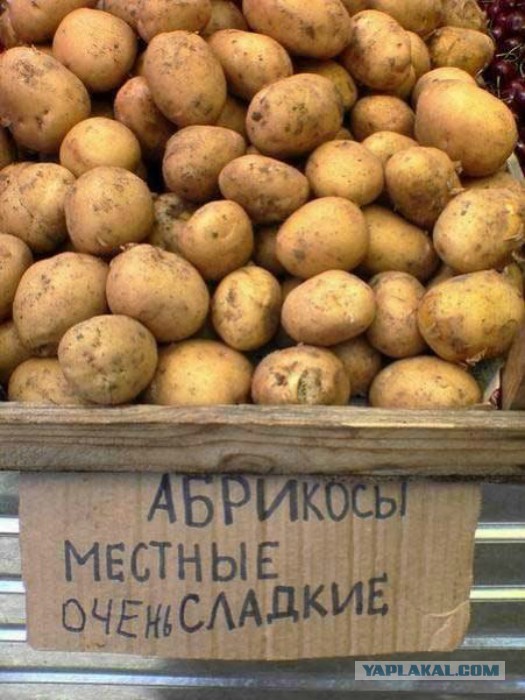Российский рынок: бессмысленный и беспощадный