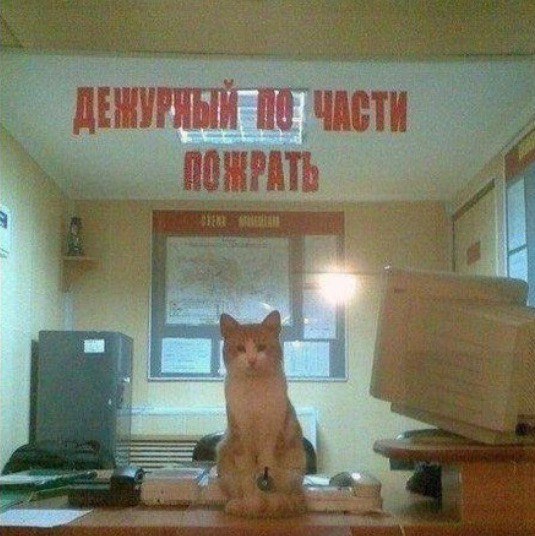 Картинки разные.