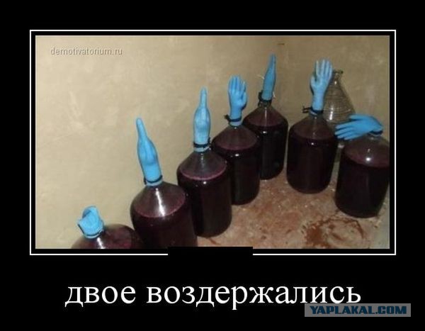 Демотиваторы