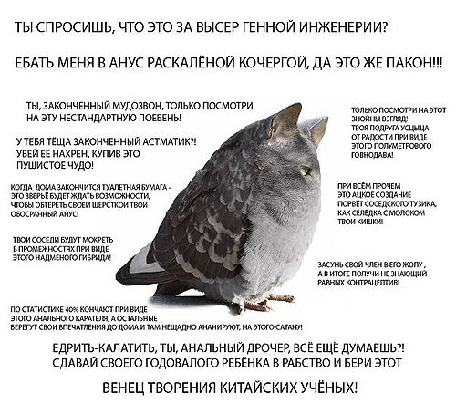 Порция абсурдного юмора на следующую неделю