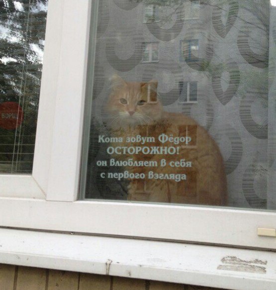 Всякая всячина