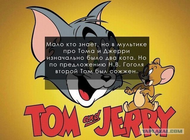 Подборка интересных и веселых картинок
