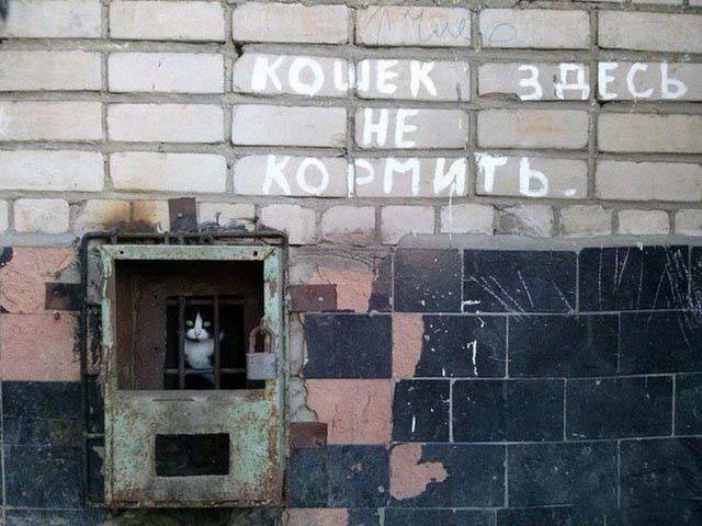 Подборка интересных и веселых картинок