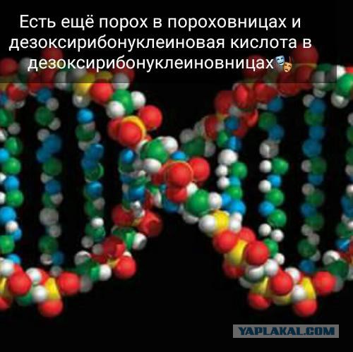 Беловежские события, или СССР - ужасная страна!