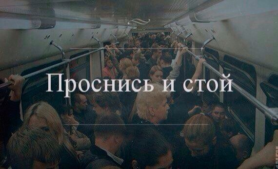 Тупик эволюции