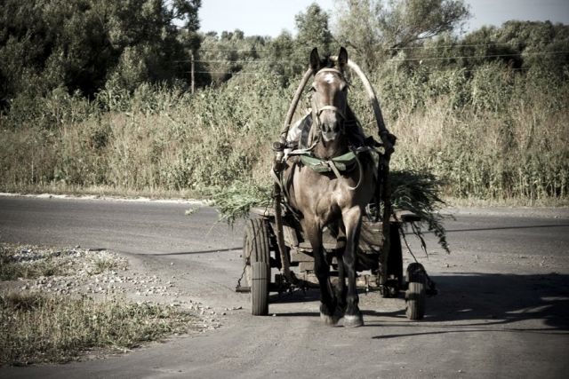 Летом в деревне