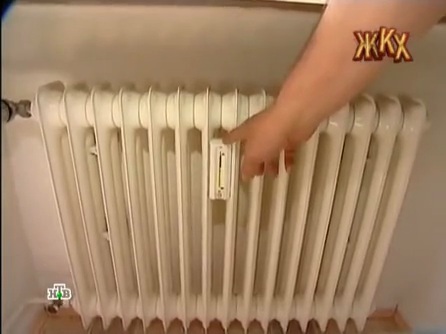 Правительство на другой планете живёт,  родной
