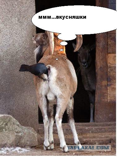 Ну, что там у нас?