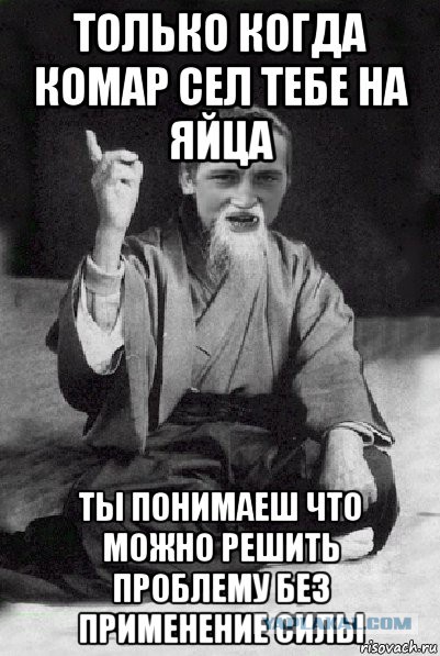 Только Когда Комар Садится На Твои Яйца Конфуций Картинка