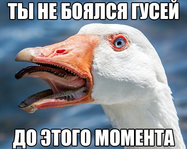 Немного картинок на сон грядущий