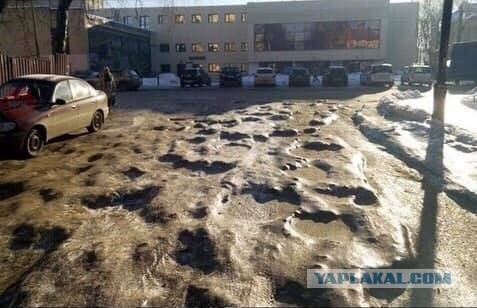 Китайский космический аппарат впервые в истории человечества успешно сел на обратную сторону Луны