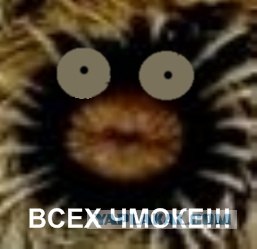 Битва Фотожаберов №6