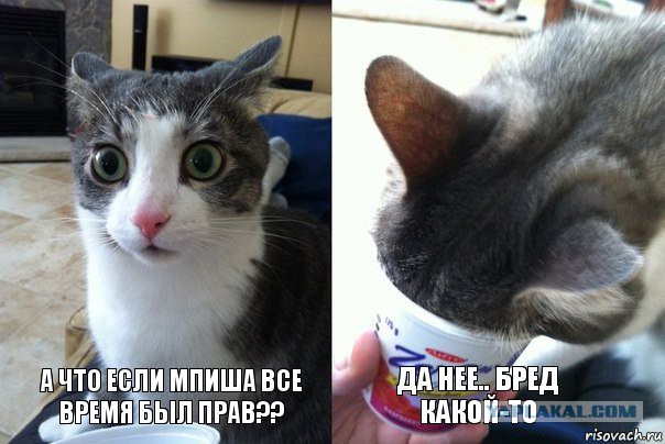 Как я свинью замучил до смерти