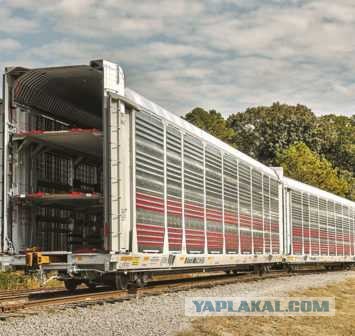 Конспирологическое: Поезда FEMA пришли в движение. К чему бы?