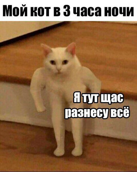 Разные весёлые картинки