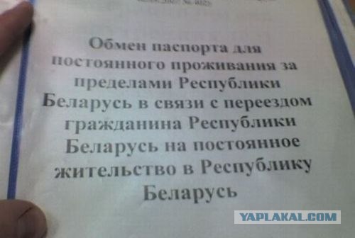Игрушки в Меге