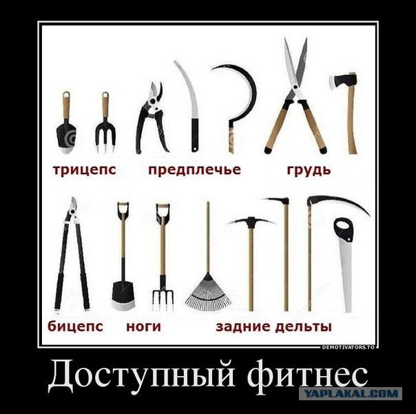Демотиваторы про минутку доброты