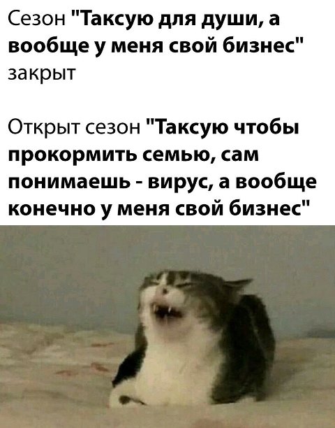 Бредзона 06.04.2020