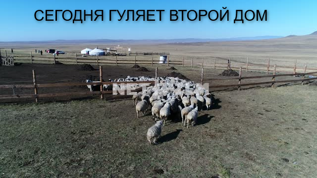Роспотребнадзор кошмарит людей в аэропорту Краснодара