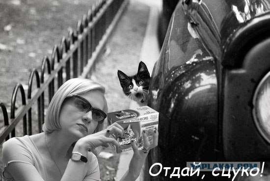 Фотожаба: Рината Литвинова