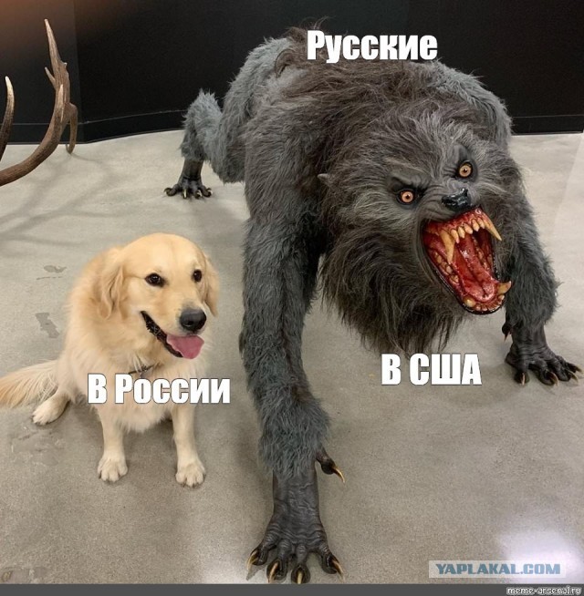 Русская отказалась встать на колени, ее уволили