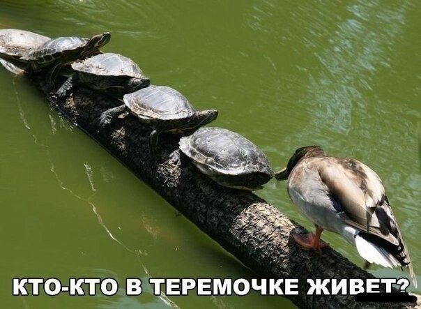 Немного картинок для настроения 09.07.20
