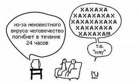 Немного картинок для настроения 14.07.20