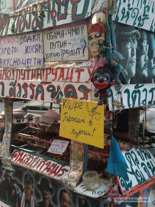 50 интересных и любопытных фактов о Таиланде