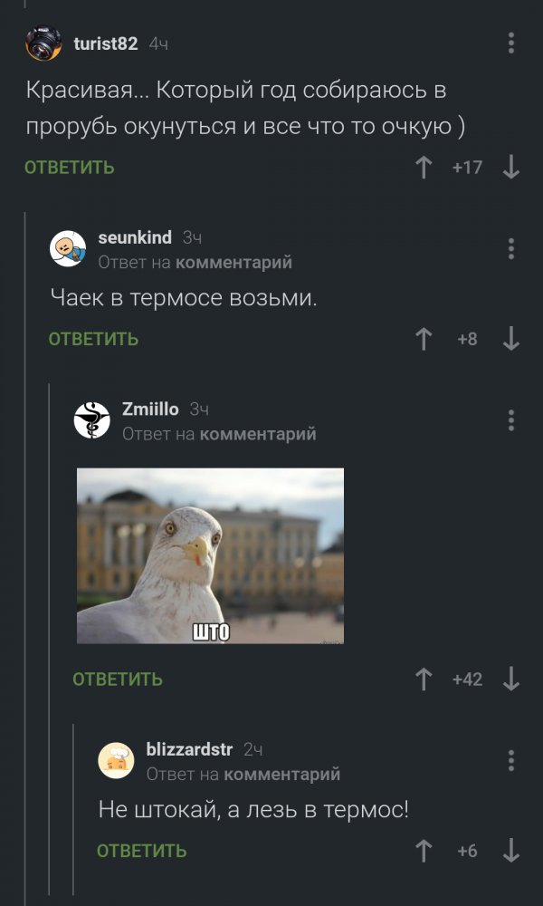 Не шутите с птицами!