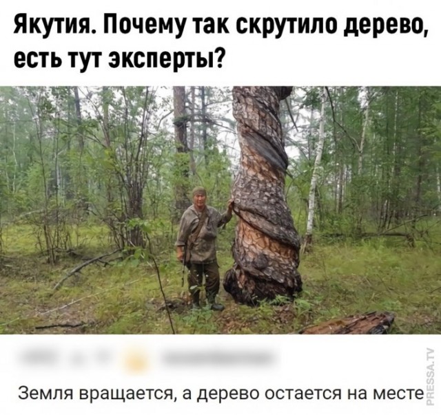 Картинки и мемы для настроения 004