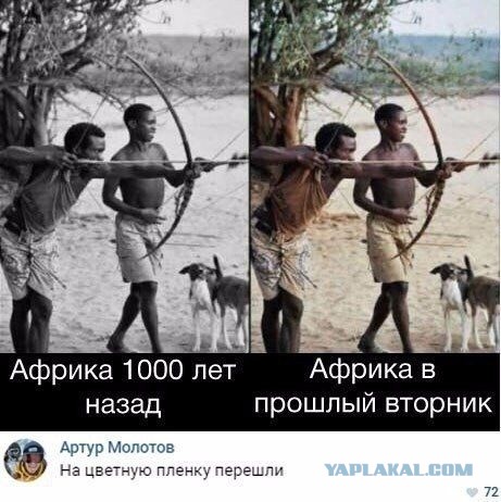 Мои картинки за 2020