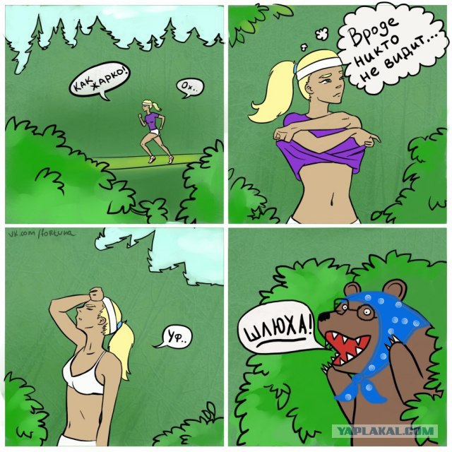 Закон- тайга, медведь за прокурора!