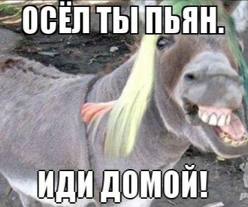 Убирайте за своими питомцами!