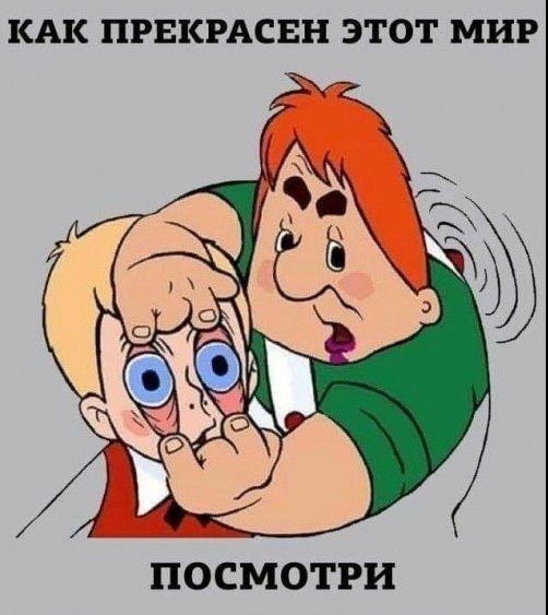 Мадам и месье бонжур
