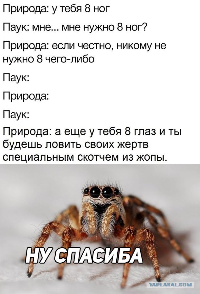 Перлы 10.03.2021