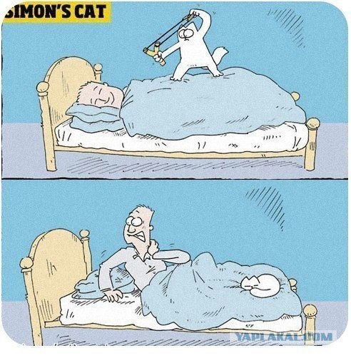 Simon's Cat in Feed Me
