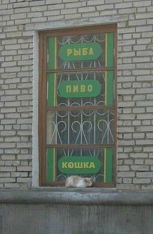 Картинки на вчера