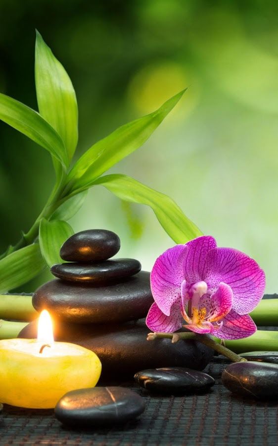 Упоротый Джа-дзен-пост