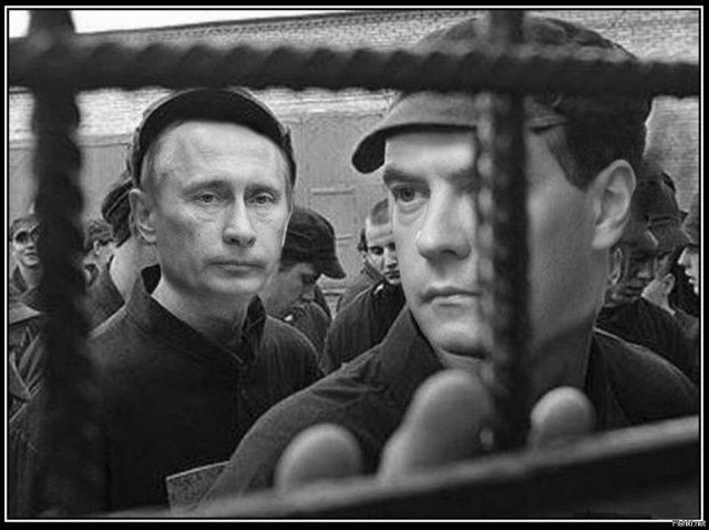 Путин и выборы
