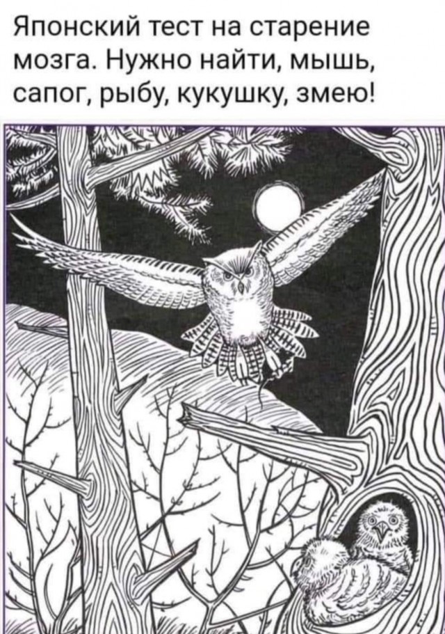 Бредзона 10.10.2021