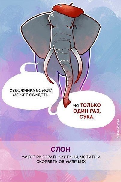 Прикольные и просто красивые картинки 27.04.2022