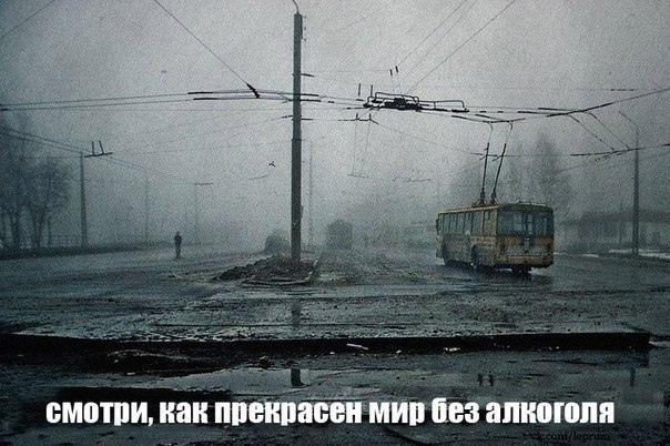 Не пью алкоголь уже 145 дней