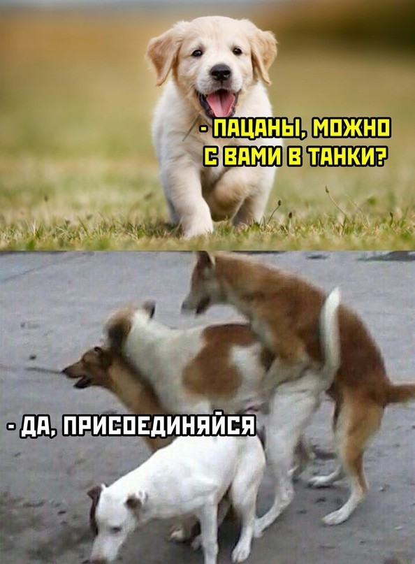 Всего понемногу. Часть 4.