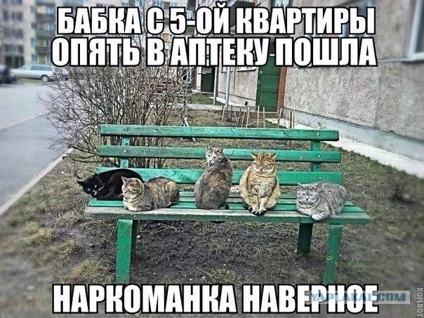 Победная поступь идиотизма по планете – том 8