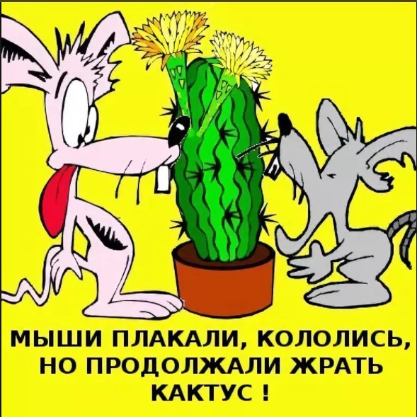 Очень вкусное киви.
