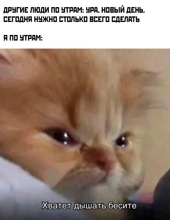 Картинки и мемы, всяко разно - 183