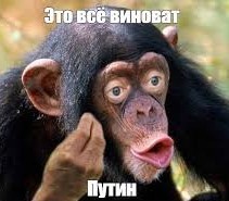 Весёлые конкурсы дедушки Дарвина: два дебила - это сила!